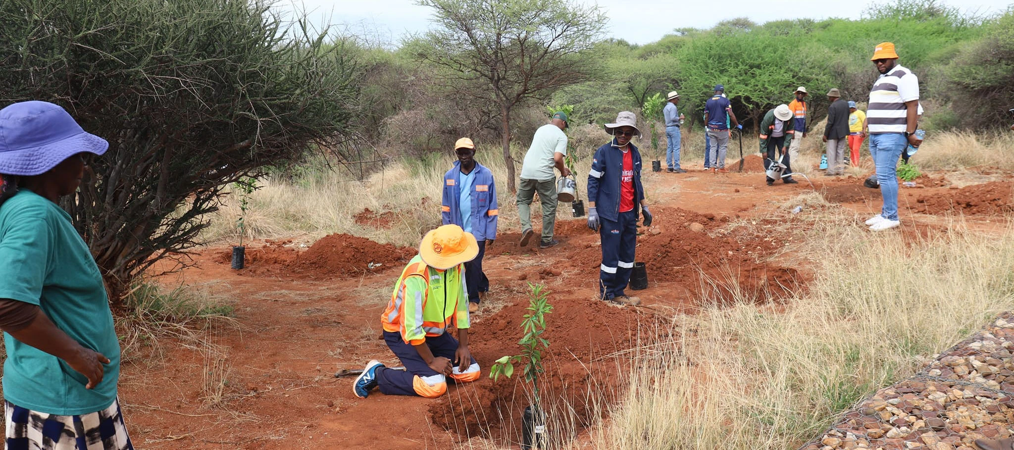 PLANTING SEEDS OF SUSTAINABILITY: DEBSWANA AND PARTNERS DRIVE CLIMATE ACTION IN MMATHUBUDUKWANE